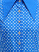 Vintage polka dot belted swing dress with shirt collar in classic 1950s retro style