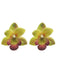 Orchidée Fleur Imposant Boucles d'Oreilles 4