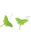 Boucles d'Oreilles Vintage Papillon Vert
