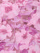 [Prévente] Nuisette Florale Rose Bretelles Fines Bordure Dentelle Années 1960