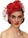 Accessoires pour cheveux vintage en maille et plumes nœud papillon
